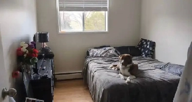 Pet Friendly Apartment - Individual room OR Full Lease Takeover Image# 3
