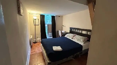 Furnished one-bedroom   den, Dundas/College Station, TMU, July 1 Image# 4