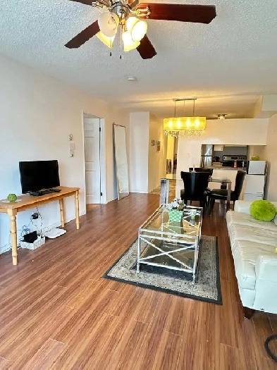 3 1/2 Appartement de 1 chambre et 1 salle de bain Image# 1