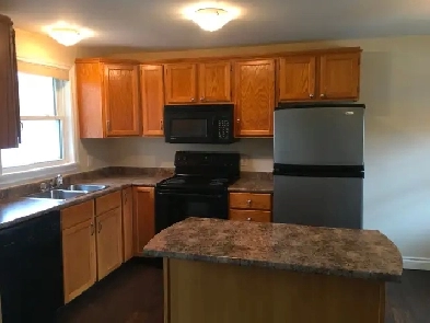 1 bedroom apartment available for rent July 1st Image# 7