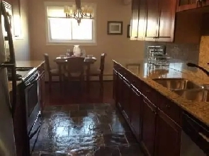 1 BD Furnished Condo Walking Distance to  University of Alberta Image# 1