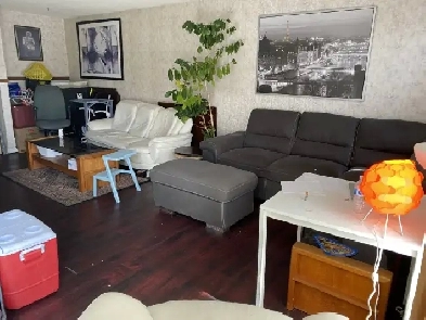 5 min walk to Rundle Ctrain / SunRidge Mall / 15 min Downtown Image# 7