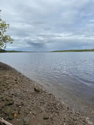 Is  anyone looking for a roommate Image# 1