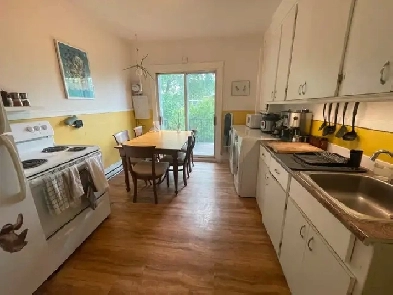 Appartement meublé 4.5 à St-Henri, sous-location (juillet/aout) Image# 1