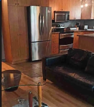 chambre à louer montreal centre libre jun ou juill Image# 1