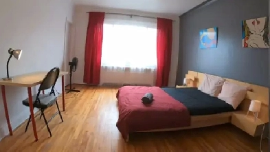 Chambre lumineuse à louer – 799$/mois – Tout inclus Image# 1