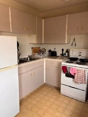 Affordable 1 bedroom apartment near many Eastside amenities Image# 1