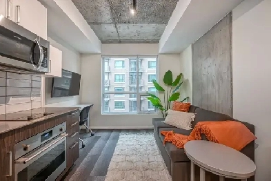 Premium Studio (1 bed 1 bath) Image# 12