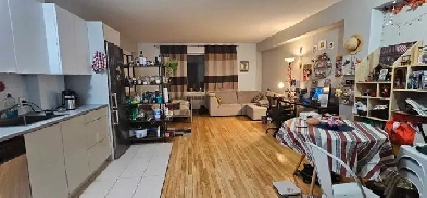 Large studio apartment near metro Image# 3