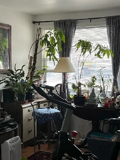 Pretty room for rent in Beautiful Orillia Image# 1