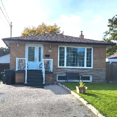 Warden/401-3bdrm 1br lower flr house Image# 1