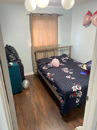 1 room available for rent in Brampton Image# 1