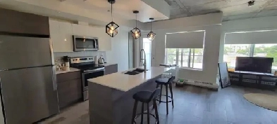 Modern Studio Apartment Sublet – Ritchie/Whyte Ave Image# 1