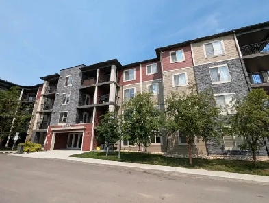 Pet friendly Chappelle condo Image# 5