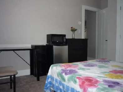 Room (furnished) for Female in Meadows Image# 3