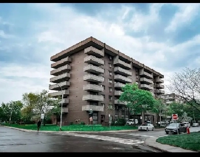 appartement 3 1/2 Image# 4