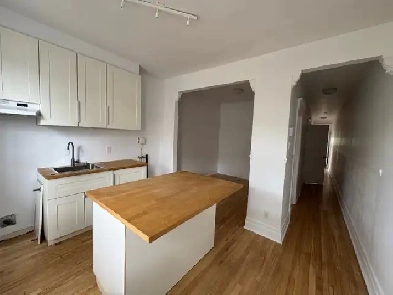Appartement à louer, Rosemont-La Petite-Patrie Image# 9