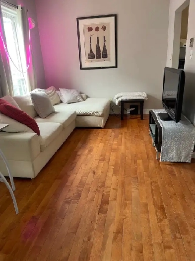 READY Now !  Downtown HFX furnished Apt & Free Utilities Image# 6