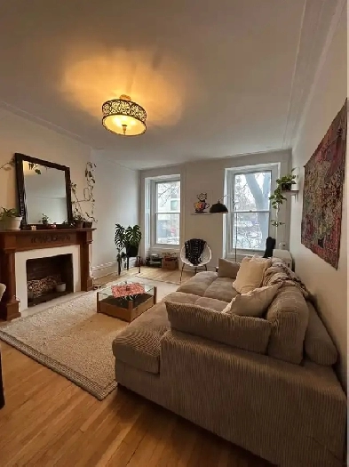 2 chambres dans coloc humaine dans un sublime appart du plateau Image# 11