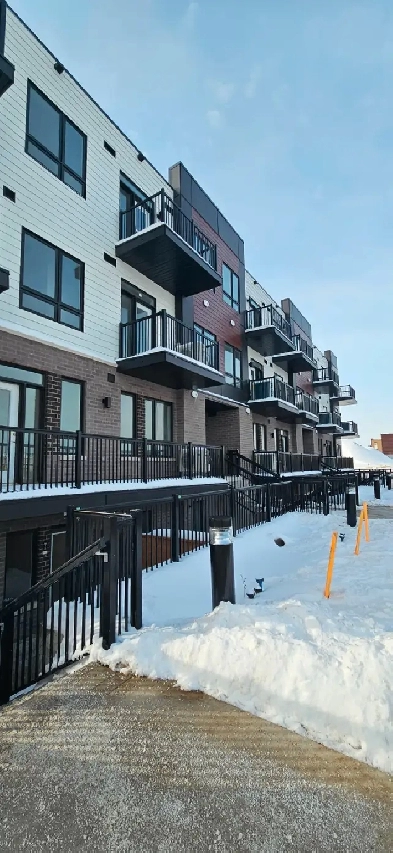 Brand New! 1 Bed 1 Bath for rent Image# 1