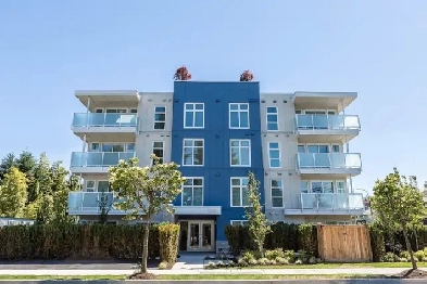 1 Bedroom Suite - Available Image# 1