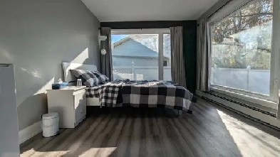 Room, private bathroom, big windows, fully furnished, Orleans Image# 6