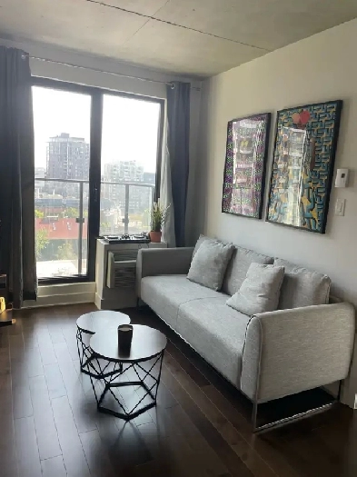 MAGNIFIQUE CONDO MODERNE 3 ½  À LOUER – GRIFFINTOWN – JUILLET Image# 1