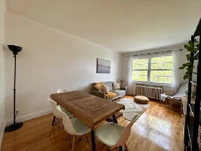 31/2 Rosemont-style condo/chauf-eau/terr-2e ave Beaubien Image# 11