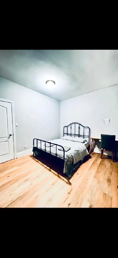 room for rent in Kensington market Image# 9