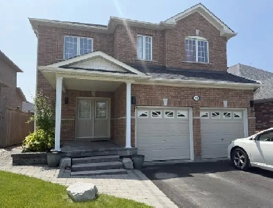 Basement Apartment for Rent Image# 1