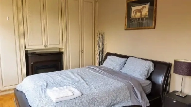 Furnished Downtown Rooms, Apartments and Condos Image# 6