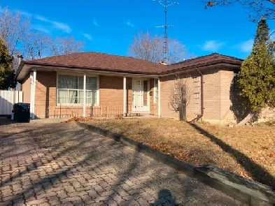 Spacious 3 Bedroom and 1 Bathroom House Image# 3