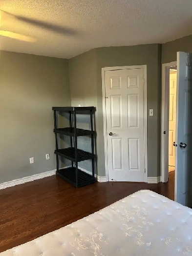 Private room for rent Image# 2