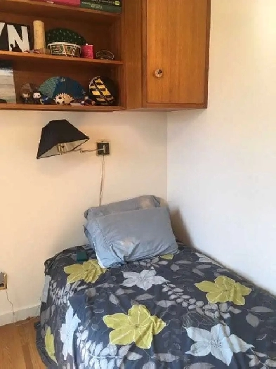 Room for Rent near U of A Image# 8