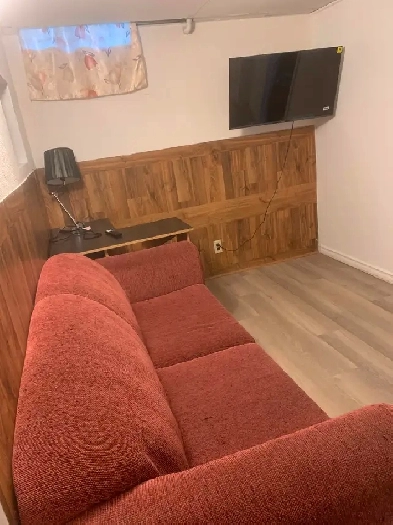 Newly renovated 2 br fully furnished basement available July 1st Image# 4