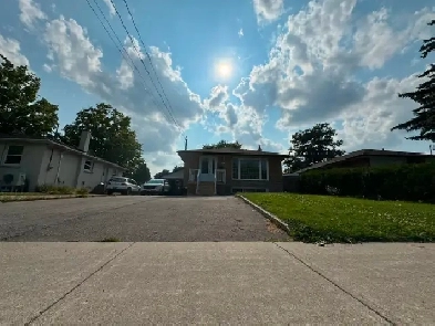Warden/401-3bdrm 1br lower flr house Image# 10
