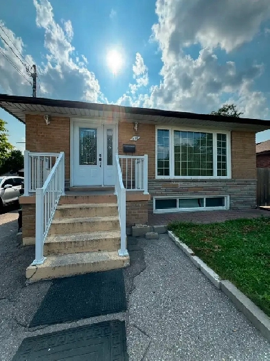 Lower flr 3bdrm 1br-warden/401 Image# 10