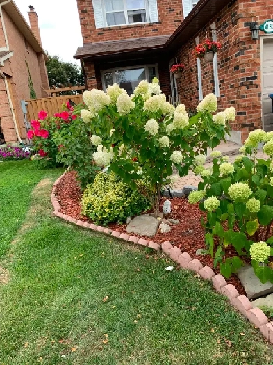 Square1,UTM,Sheridan,1 basement room with private toilet,parking Image# 1