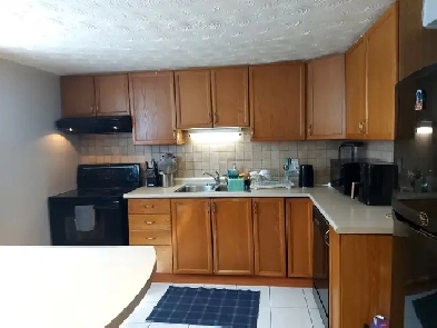1 bedroom for rent close to Mohawk College Image# 1