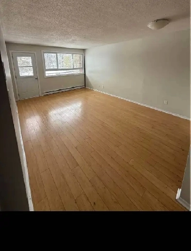 Appartement 3 1/2 à louer Gatineau Image# 7