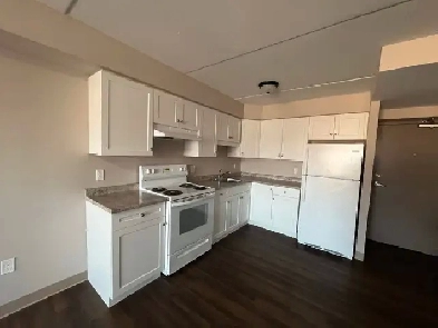 1 Bed 1 Bath - Welland Image# 1