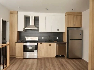 Appartement 5 1/2 Nouvelle Construction / Apartment 5 1/2 New Image# 2