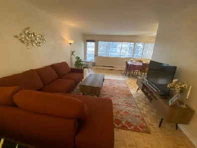 Rent: Large One-Bedroom Condo Apartment Image# 1