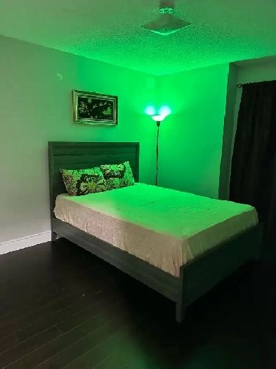 Room for rent Punjabi couples Image# 1