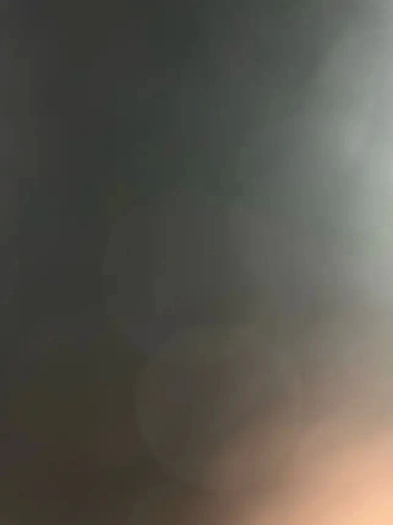 Room for rent near Sheridan College Image# 1