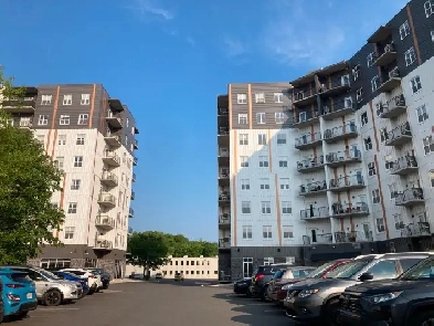 $2520 rental incentive New Building with Gym, Laundry Image# 10
