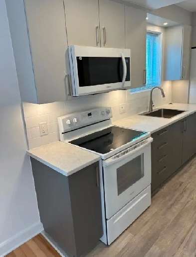 Très beau 3 1/2 Complètement rénové 5 Électros inclus Image# 2