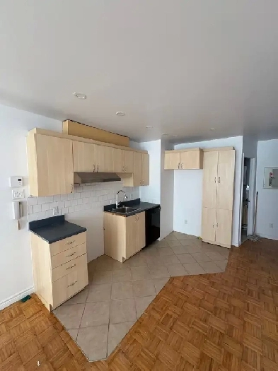 Logement a louer a 5 minutes a pieds du Métro St Michel Image# 6