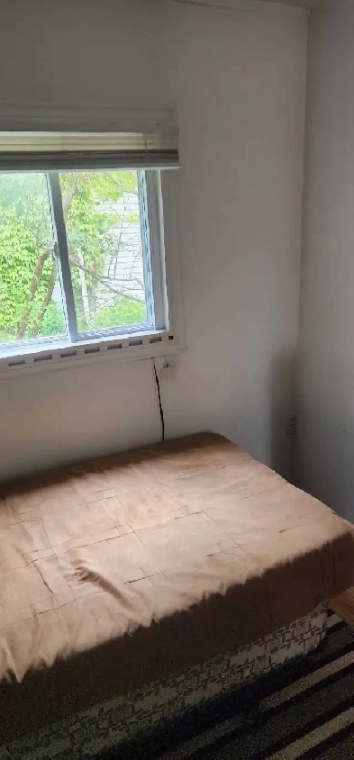 FOR RENT LINDSAY ONT 705 879 3692 ROOM Image# 1