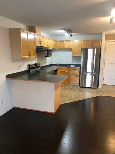 1 Bed 1 Bath Condo for Rent Ellerslie Edmonton Image# 8